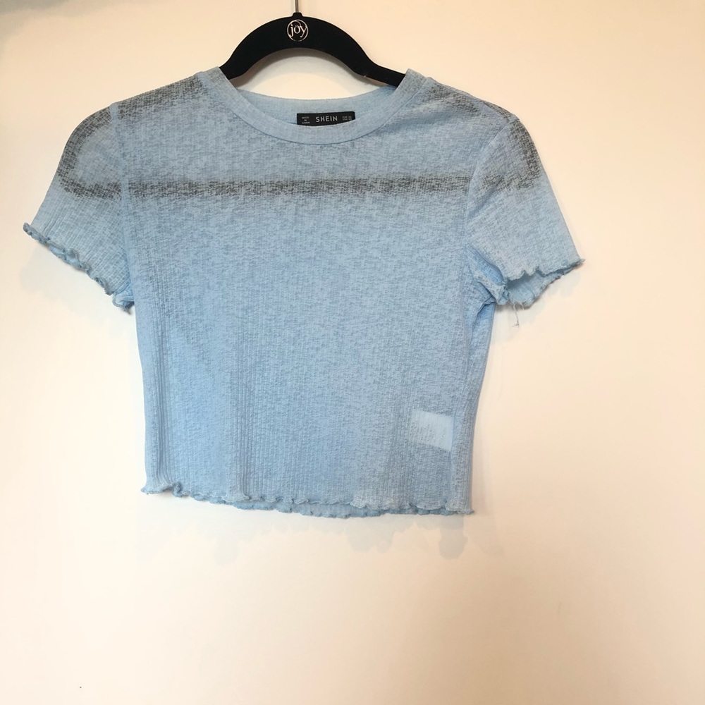 Mesh Crop Top